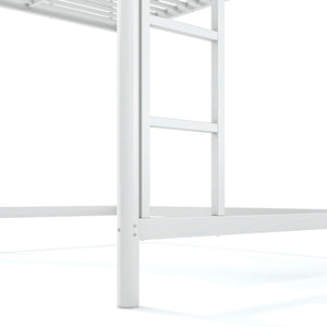 English Elm Full Size Iron Loft Bed with Dual Ladders Guardrails and Open Floor Space Below White W1580P455016