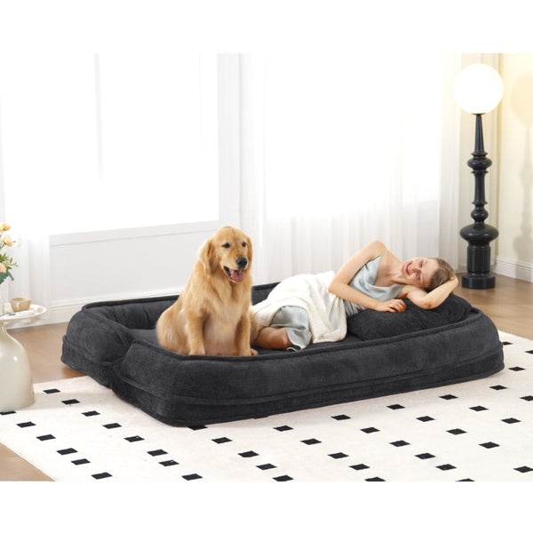 English Elm [new Chenille Floor Loveseat Sleeper with Adjustable Backrest for Two Adults and Pets Black W1628P348791