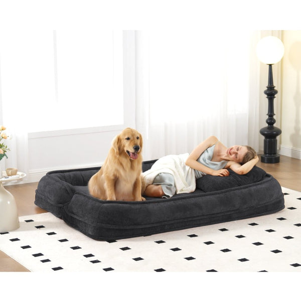 English Elm [new Chenille Floor Loveseat Sleeper with Adjustable Backrest for Two Adults and Pets Dark Gray W1628P348793