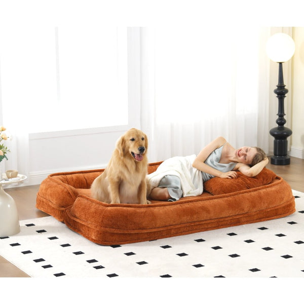 English Elm [new Chenille Floor Loveseat Sleeper with Adjustable Backrest for Two Adults and Pets Orange W1628P348796