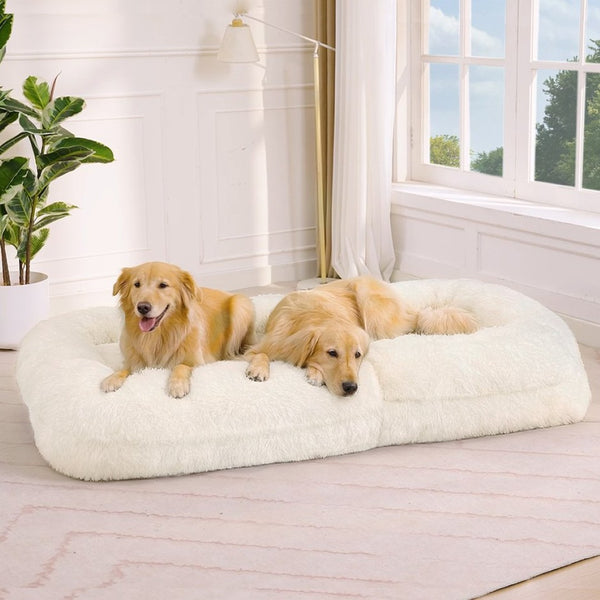 English Elm [new Arrived] Faux Fur Convertible Floor Lounger Plush Gaming Sofa Bed for Living Room Beige W1628P387376