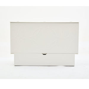 English Elm New Queen Murphy Cabinet Bed with Foam Mattress Storage Drawer and Built-In USB Charging W1628S00010