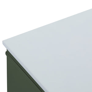 English Elm 48" Sage Green Floating Bathroom Vanity with Seamless Acrylic Basin and Soft-close Drawers W1826P449928