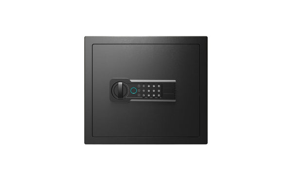 English Elm 1.2 Cu Ft Steel Home Safe with Biometric Fingerprint Access and Anti-Pry Bolts W1831P604703
