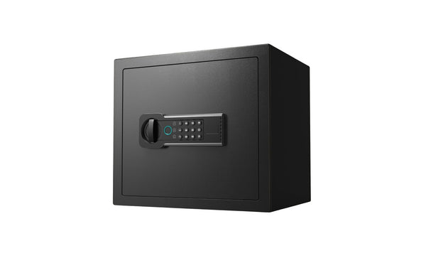 English Elm 1.2 Cu Ft Steel Home Safe with Biometric Fingerprint Access and Anti-Pry Bolts W1831P604703