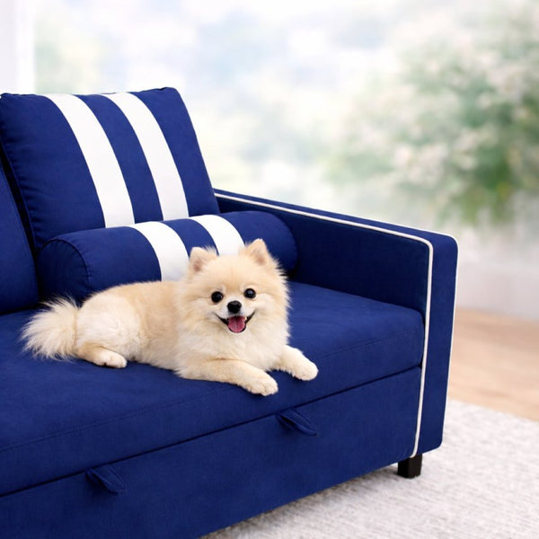 English Elm 2 Seater Blue Fabric Sleeper Loveseat with USB Port and Adjustable Recline W1867S00019