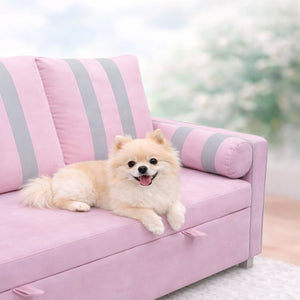 English Elm Pink Convertible Sleeper Sofa with USB Port Foam Cushions for Guest Rooms W1867S00020