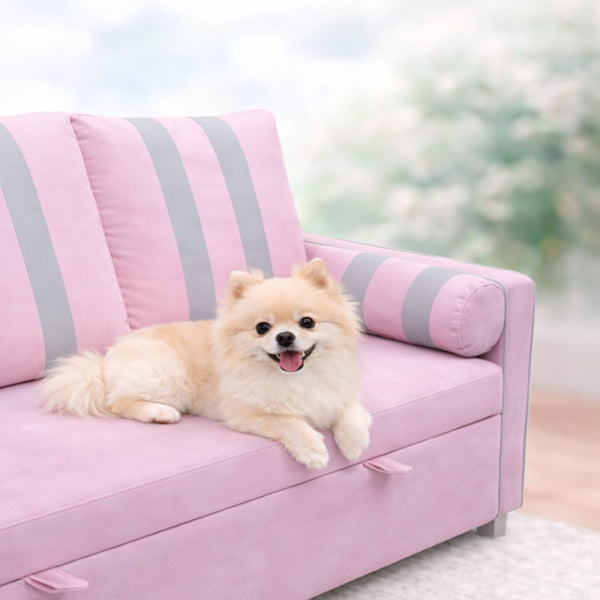 English Elm Pink Convertible Sleeper Sofa with USB Port Foam Cushions for Guest Rooms W1867S00020