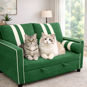English Elm Green Convertible Sleeper Sofa with USB Charging Armrest and Storage for Small Spaces W1867S00021