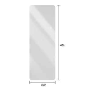 English Elm 65x22inch Led Backlit Full Length Wall Mirror with Dimmable Soft Glow for Bedroom W2071P202830
