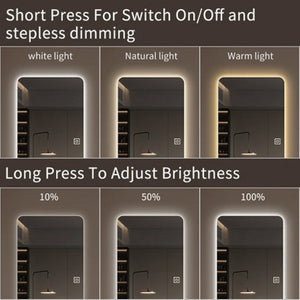 English Elm 65x22inch Led Backlit Full Length Wall Mirror with Dimmable Soft Glow for Bedroom W2071P202830