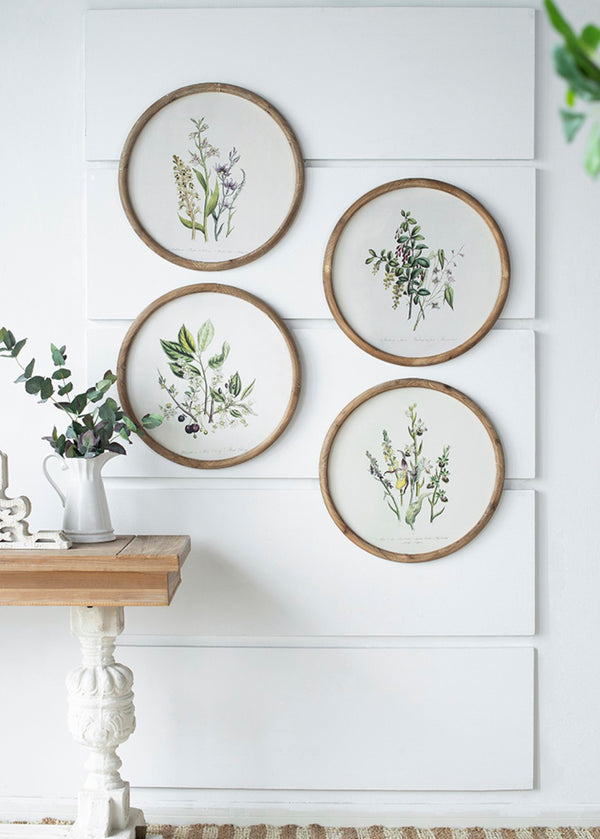 English Elm S/4 Botanical Round Framed Prints Rustic Fir Wood Vintage Naturalist Wall Art W2078P531907