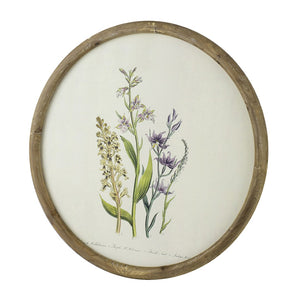 English Elm S/4 Botanical Round Framed Prints Rustic Fir Wood Vintage Naturalist Wall Art W2078P531907