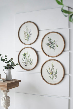 English Elm S/4 Botanical Round Framed Prints Rustic Fir Wood Vintage Naturalist Wall Art W2078P531907