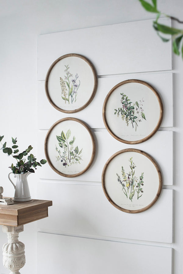 English Elm S/4 Botanical Round Framed Prints Rustic Fir Wood Vintage Naturalist Wall Art W2078P531907