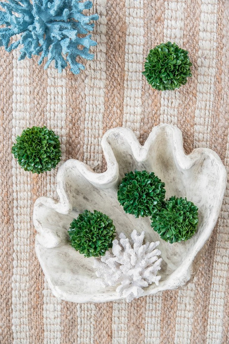 English Elm 19.8X14.5x5.4 Resin Clam Shell Coastal Accent Piece with Glossy Interior Bowl Display W2078P586104
