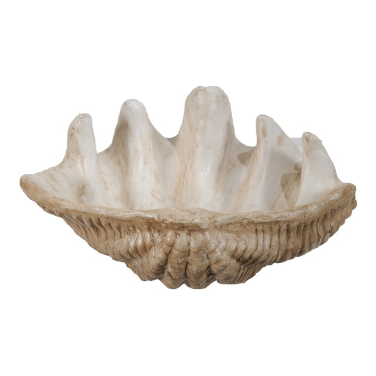 English Elm 19.8X14.5x5.4 Resin Clam Shell Coastal Accent Piece with Glossy Interior Bowl Display W2078P586104