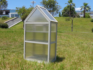 English Elm Mini Cedar Greenhouse with Vented Roof Adjustable Shelves for Patio Balcony Garden W21966788