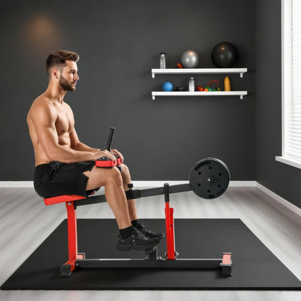 English Elm Soozier Steel Seated Calf Raise Machine with Adjustable Thigh Pads for Home Gym W2225P485629