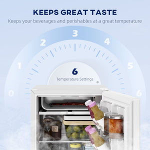 English Elm Homcom 2.5 Cu Ft Compact Refrigerator with Freezer Section Quiet Energy Saving W2225P597249