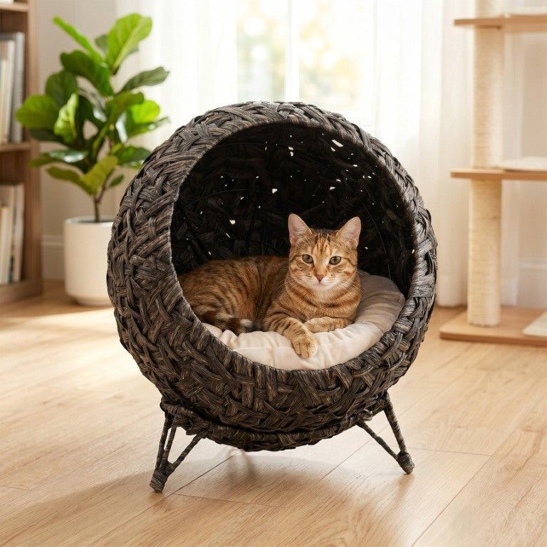English Elm Pawhut Handwoven PE Rattan Elevated Cat Basket with Cushion and Stable Metal Legs W2225P597368