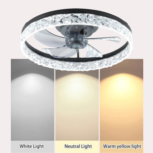 English Elm Ceiling Fan with Sculptural Acrylic Blades Dimmable LED Three Color Temps Smart App W2312141748