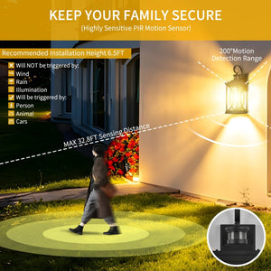 English Elm Motion Sensor Outdoor Wall Sconce Matte Black Carriage Lantern with Glass Panels W2312P454688