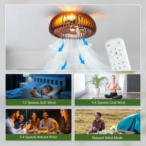 English Elm 20 Inch Caged Flush Mount Ceiling Fan with Wood Blades and Remote for Small Rooms W2312P539246