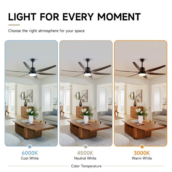 English Elm 6 Blade 66 Inch Matte Black Ceiling Fan Dimmable LED Kit for Large Indoor Spaces W2312P545542