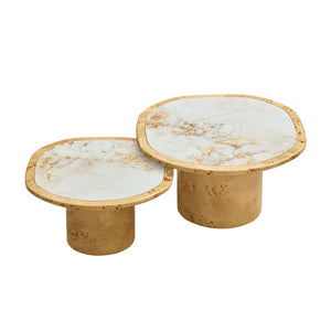 English Elm Irregular Burl Veneer and Sintered Stone Coffee Table Set for Modern Living Rooms Natural W2582S00217