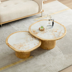 English Elm Irregular Burl Veneer and Sintered Stone Coffee Table Set for Modern Living Rooms Natural W2582S00217