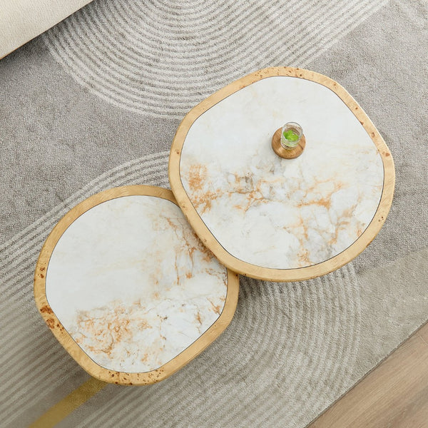 English Elm Irregular Burl Veneer and Sintered Stone Coffee Table Set for Modern Living Rooms Natural W2582S00217