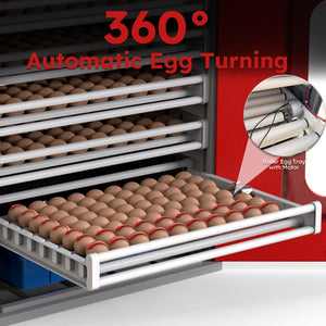 English Elm 400-egg Cabinet Incubator Auto-turning Digital Climate Control for Poultry Hatching W2700P476625