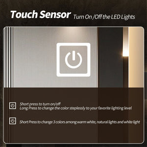 English Elm 65 Inch Capsule LED Full Length Wall Mirror with Matte Black Frame and Dimmable Touch Control W2709P501958