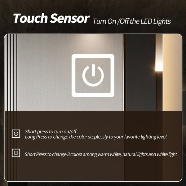English Elm 65 Inch Capsule LED Full Length Wall Mirror with Matte Black Frame and Dimmable Touch Control W2709P501958