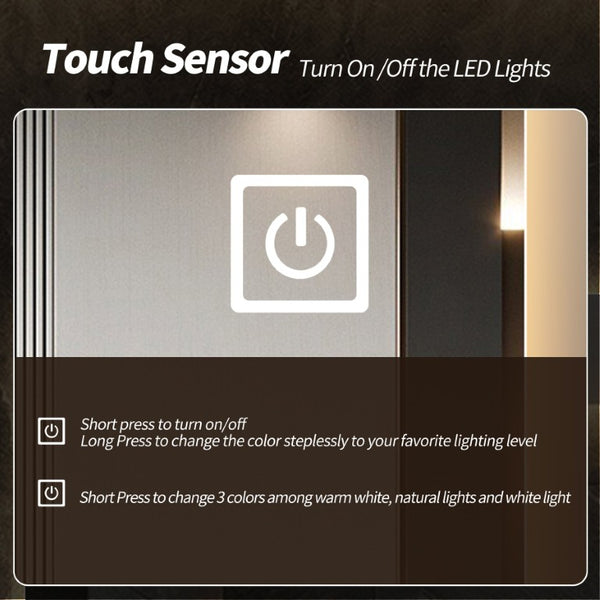 English Elm 65 Inch LED Full Length Wall Mirror with Dual Frosted Light Bands and Stepless Dimming W2709P539065