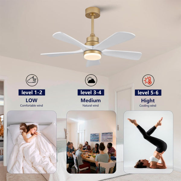 English Elm Hot 42 Inch Sycamore Wood Blade Ceiling Fan with LED Light and Remote Control Gold+White 5 Blades W2991P334791