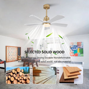 English Elm Hot 42 Inch Sycamore Wood Blade Ceiling Fan with LED Light and Remote Control Gold+White 5 Blades W2991P334791