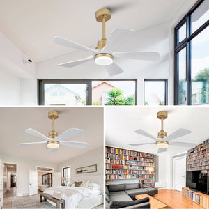 English Elm Hot 42 Inch Sycamore Wood Blade Ceiling Fan with LED Light and Remote Control Gold+White 5 Blades W2991P334791