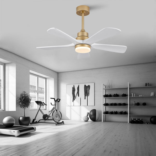 English Elm Hot 42 Inch Sycamore Wood Blade Ceiling Fan with LED Light and Remote Control Gold+White 5 Blades W2991P334791