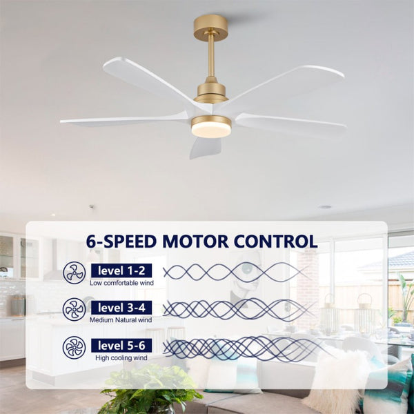English Elm Hot 52 Inch Sycamore Blade Ceiling Fan Dimmable LED Remote Bedroom Living Room W2991P334794