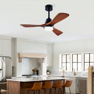 English Elm Hot 42 Inch Sycamore Wood Blade Ceiling Fan with LED Light and Remote Control Black 3 Blades - A W2991P334795