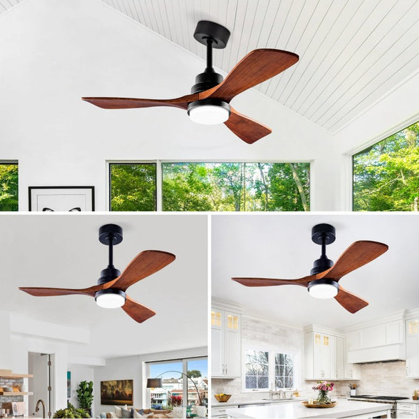 English Elm Hot 42 Inch Sycamore Wood Blade Ceiling Fan with LED Light and Remote Control Black 3 Blades - A W2991P334795