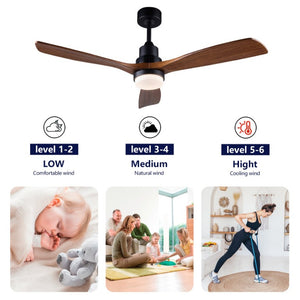 English Elm Hot 52 Inch Sycamore Wood Blade Ceiling Fan Dimmable LED DC Motor Remote Included W2991P334798
