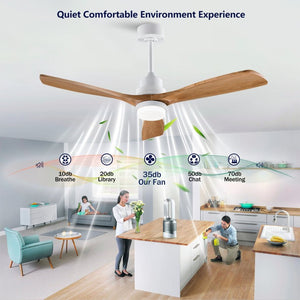 English Elm Hot 52 Inch Sycamore Wood Blade Ceiling Fan DC Motor Dimmable LED Living Room W2991P334799