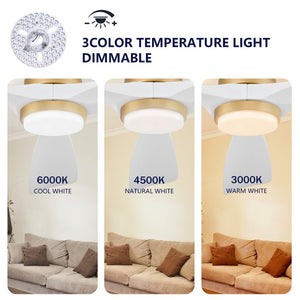 English Elm Hot 52 Inch Sycamore Wood Blade Ceiling Fan Dimmable LED Remote DC Motor W2991P334800