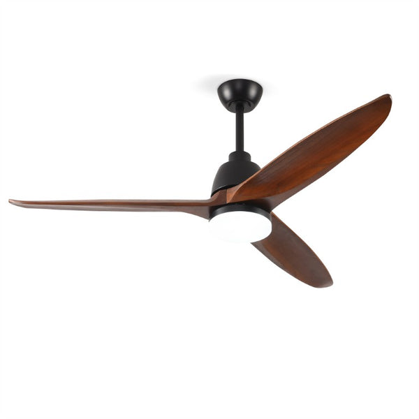 English Elm Hot 52 Inch Sycamore Wood Blade Ceiling Fan with Dimmable LED and Reversible DC Motor W2991P338633
