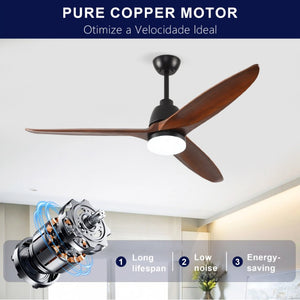 English Elm Hot 52 Inch Sycamore Wood Blade Ceiling Fan with Dimmable LED and Reversible DC Motor W2991P338633