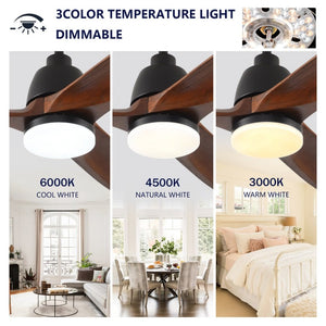 English Elm Hot 52 Inch Sycamore Wood Blade Ceiling Fan with Dimmable LED and Reversible DC Motor W2991P338633