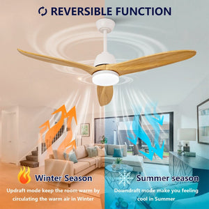 English Elm Hot 52 Inch Gold Ceiling Fan Sycamore Wood Blades Dimmable LED Remote DC Motor W2991P338634